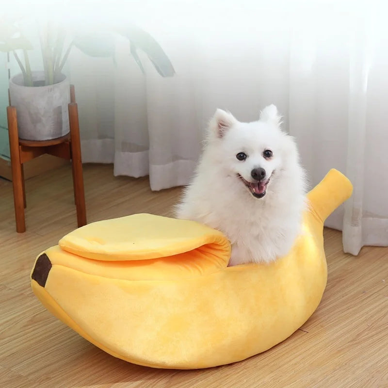 White dog sitting inside a banana-shaped pet bed on a wooden floor.