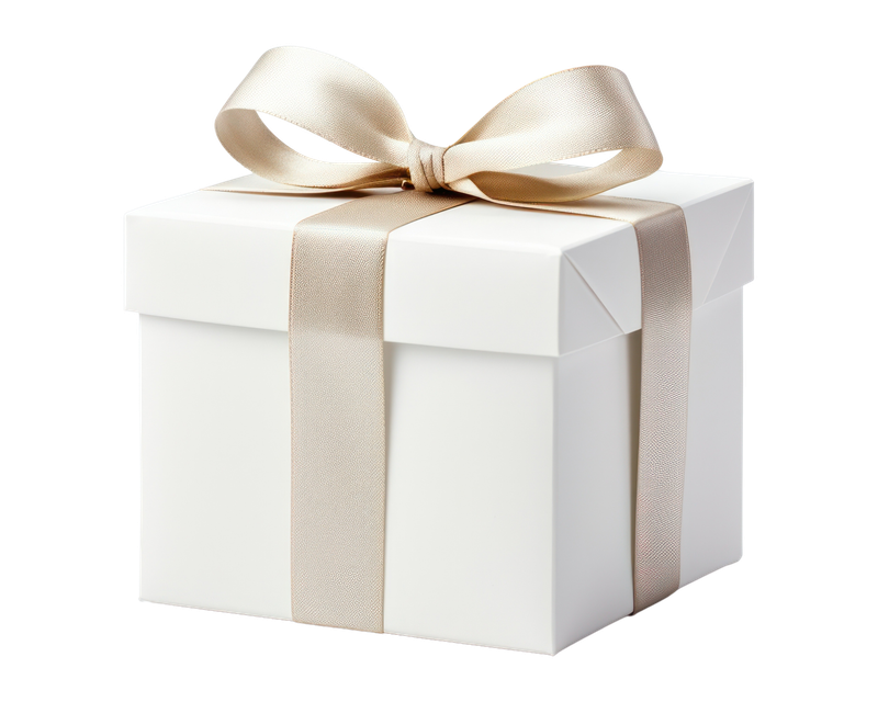Complimentary Bonus Item