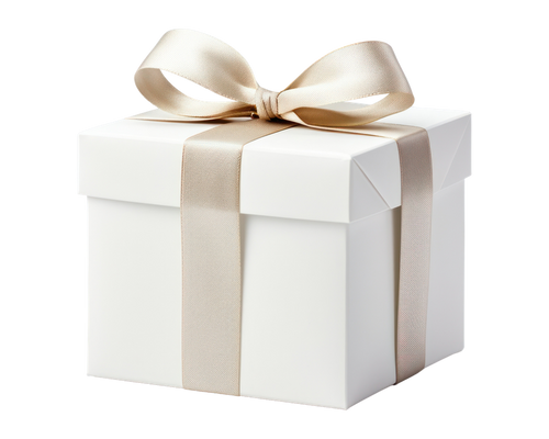 Complimentary Bonus Item